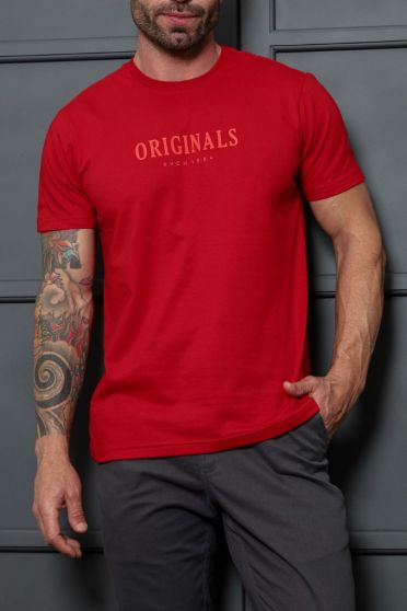 Camiseta Estampada Masculino Revanche Cidamo BORDO